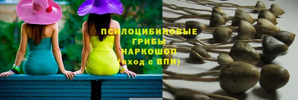 марки lsd Ладушкин