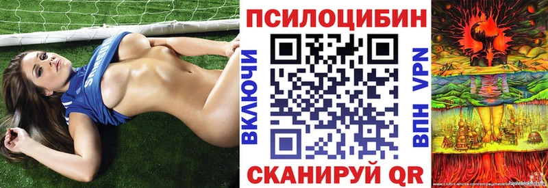 OMG рабочий сайт  купить наркотик  Ижевск  Галлюциногенные грибы мицелий 