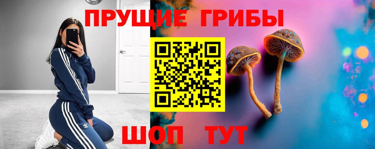 Псилоцибиновые грибы Psilocybe  Галлюциногенные грибы Cubensis  Ижевск 